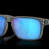 Holbrook™ (Low Bridge Fit) Encircle Collection<Oakley Shop